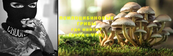 гидра Арсеньев