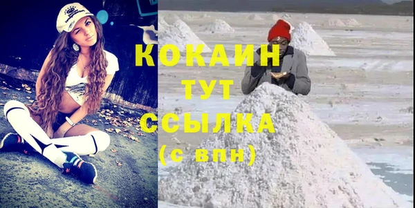гидра Арсеньев