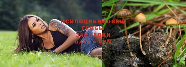 гидра Арсеньев